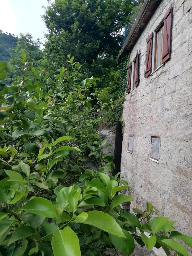 Hotel Campismo Rural Vale Dos Moinhos Geres Exteriér fotografie